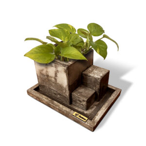 Square Shape pot