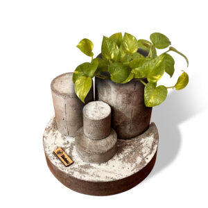 circle shape pot