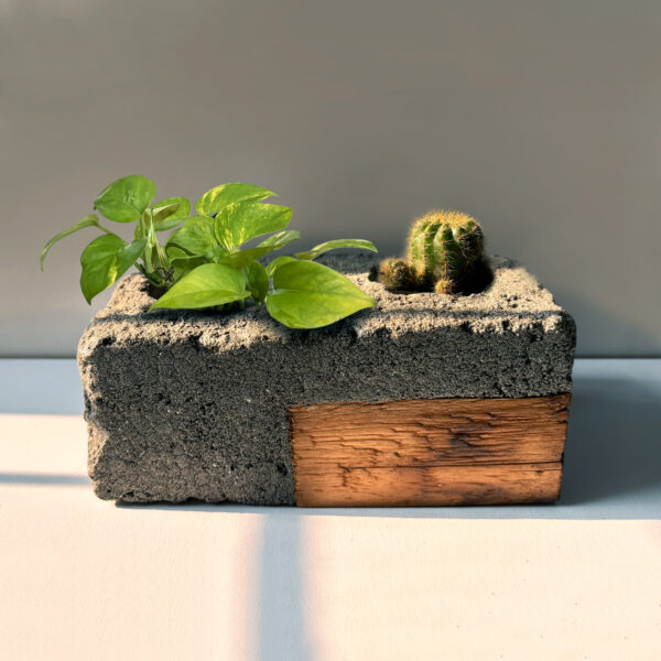 Cement and Wooden combination Pot for Plants
